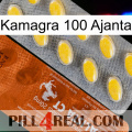 Kamagra 100 Ajanta 42